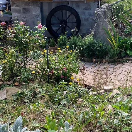 Maison Carmen - Restaurant , Meuble De Tourisme, ゲストハウス