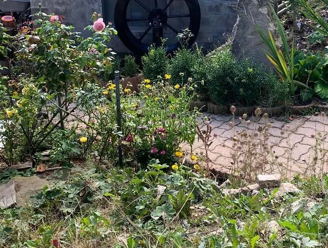 Maison Carmen - Restaurant , Meuble De Tourisme, Гостевой дом